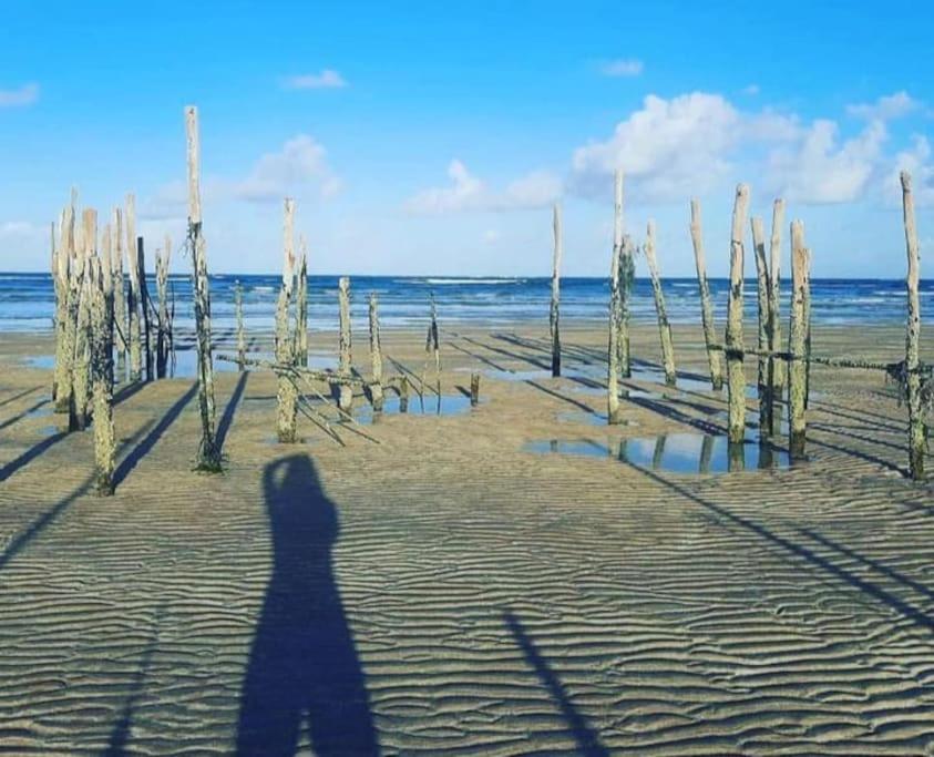 Maravilhosa Mansao Na Praia De Ipioca Maceió المظهر الخارجي الصورة